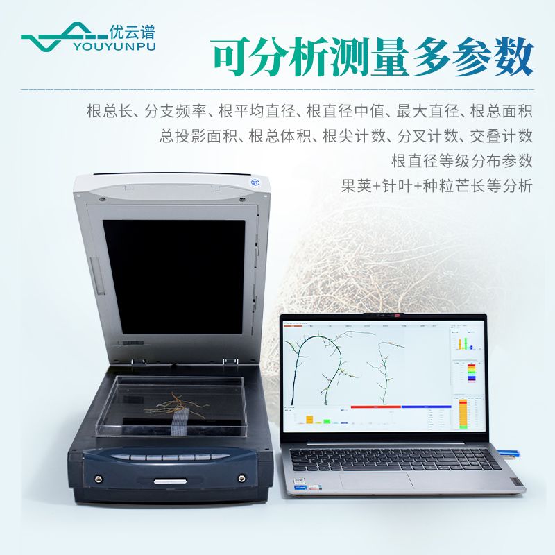 根系分析系統